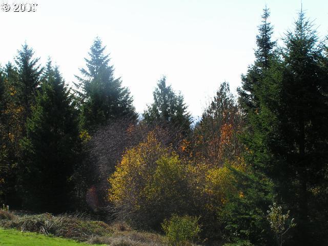 14333 Northwest McNamee Road Portland, OR 97231 - Photo 7 of 8