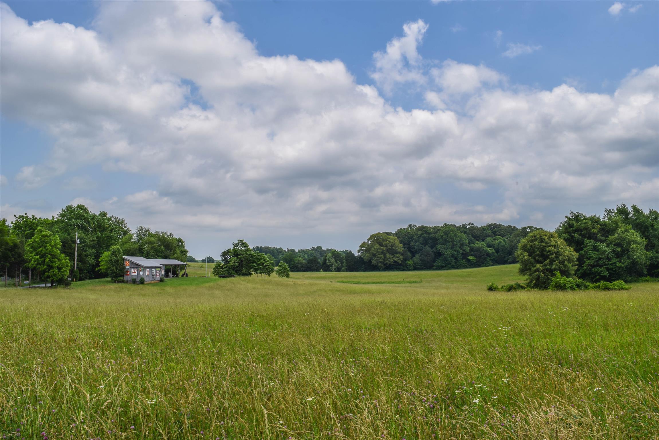 0 Martin Covington Road White House, TN 37188 - Photo 24 of 28