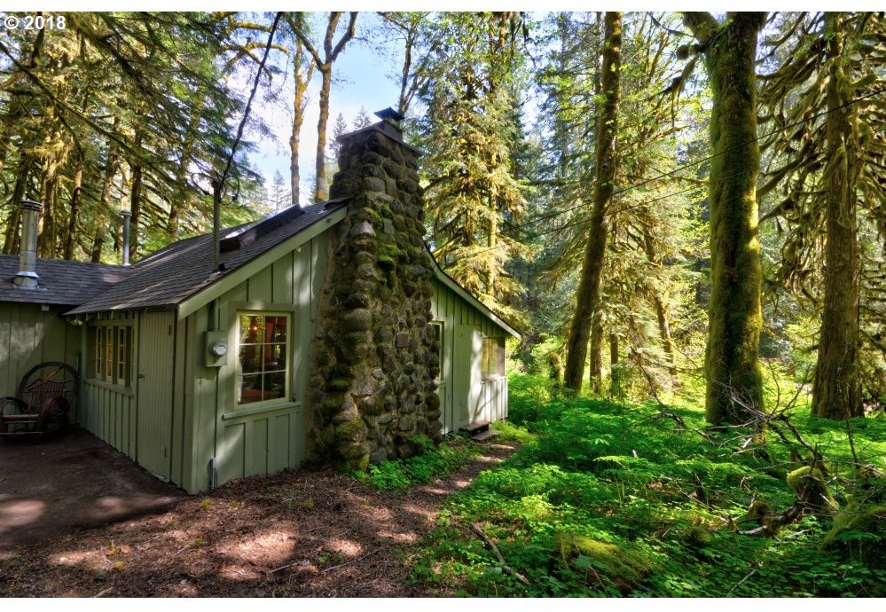 29007 Road 20 Rhododendron, OR 97049 - Photo 7 of 28