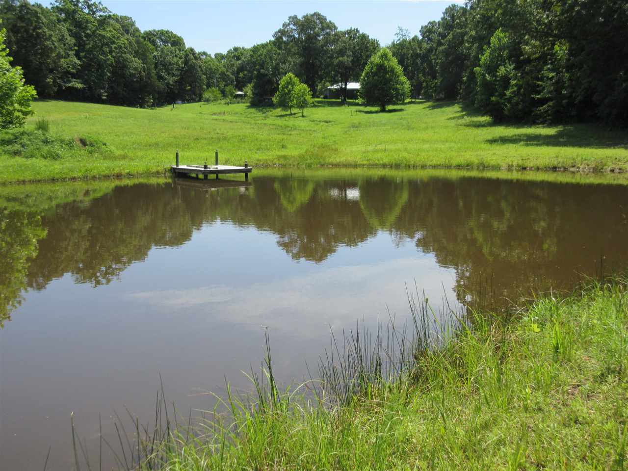 1195 Newman Road Saltillo, TN 38370 - Photo 17 of 25 Gallery Image 17