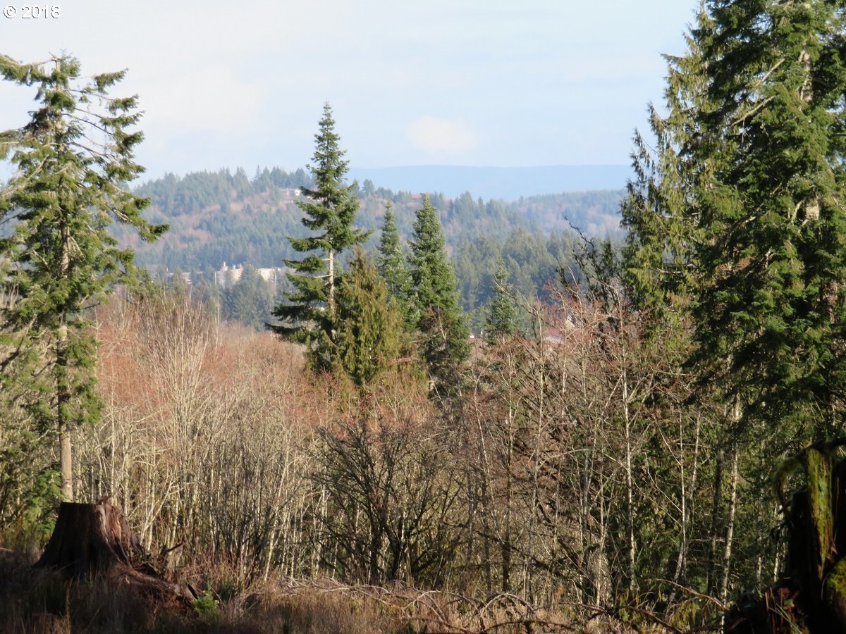 River Heights Road Centralia, WA 98531 - Photo 1 of 32 Gallery Image 1