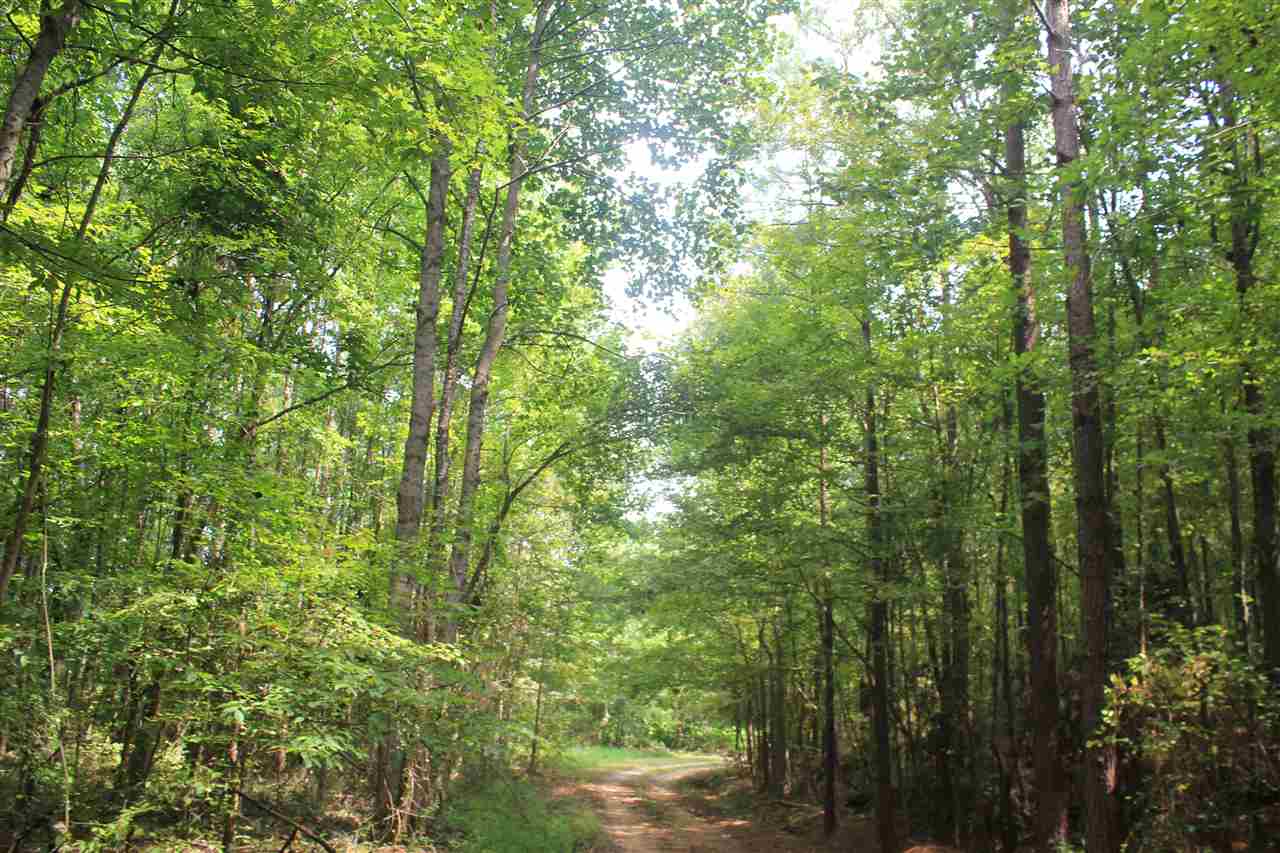 0 Robert Ford Road Waterford, MS 38685 - Photo 7 of 25