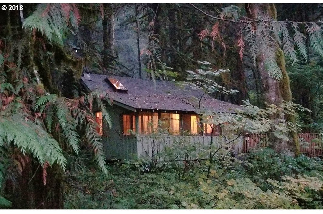 29007 Road 20 Rhododendron, OR 97049 - Photo 27 of 28
