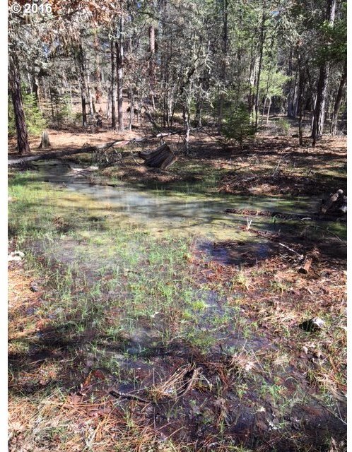 314 Tamarack Goldendale, WA 98620 - Photo 31 of 32