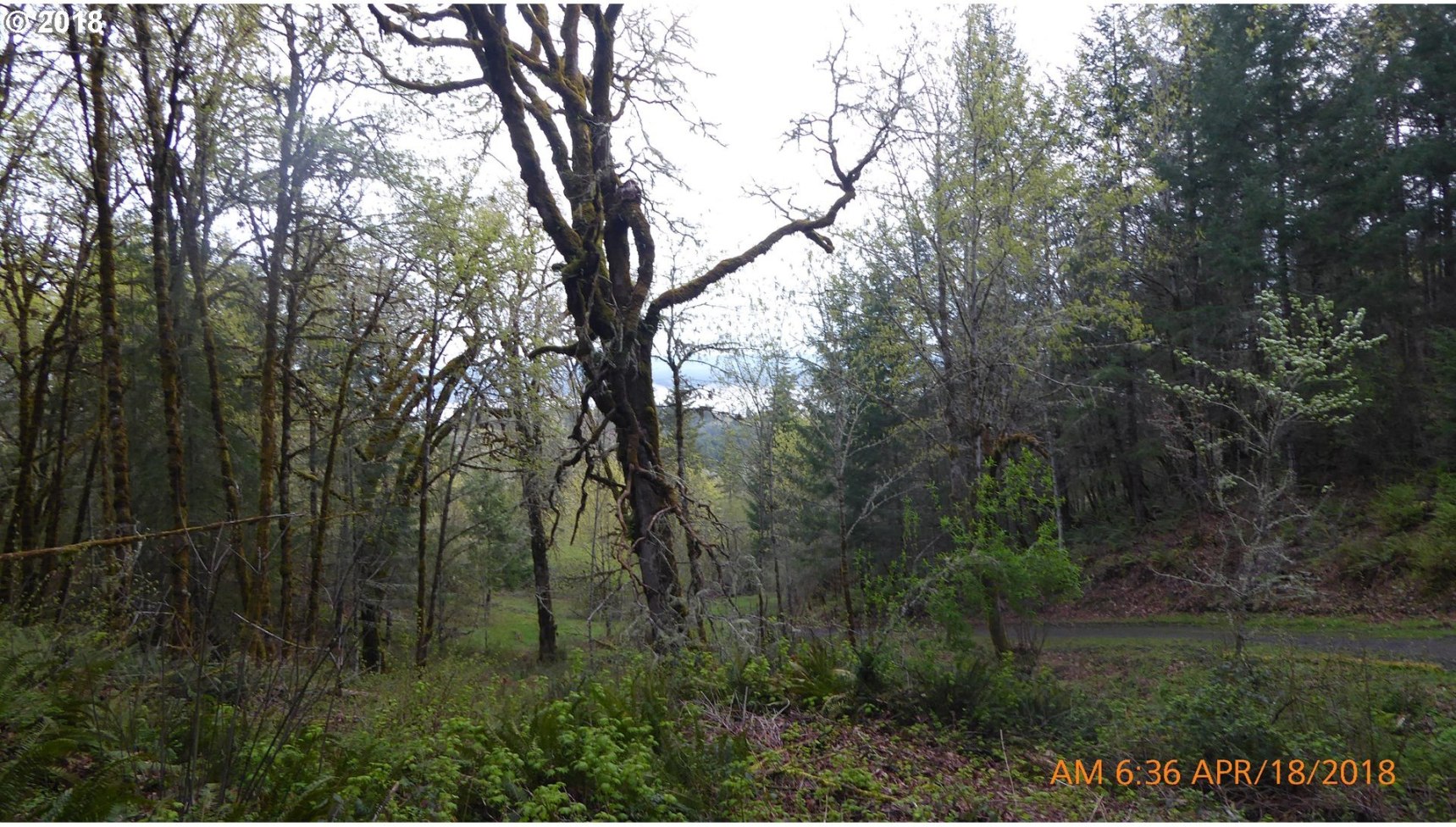 7535 Sawtell Road Sheridan, OR 97378 - Photo 23 of 32 Gallery Image 23