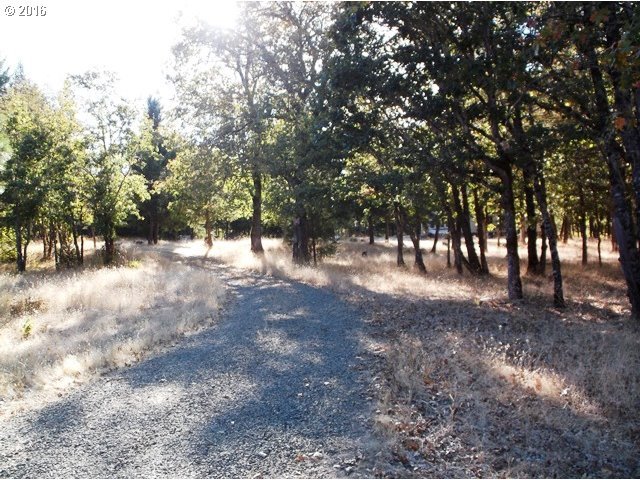 420 Sherier Road Cave Junction, OR 97523 - Photo 21 of 21