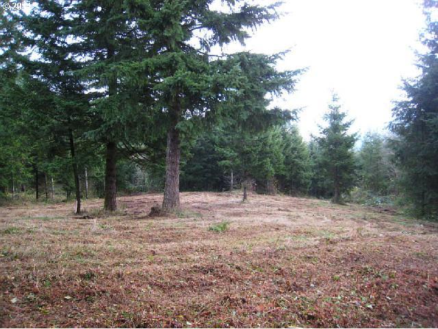 1371 Labarre Road Washougal, WA 98671 - Photo 13 of 16 Gallery Image 13