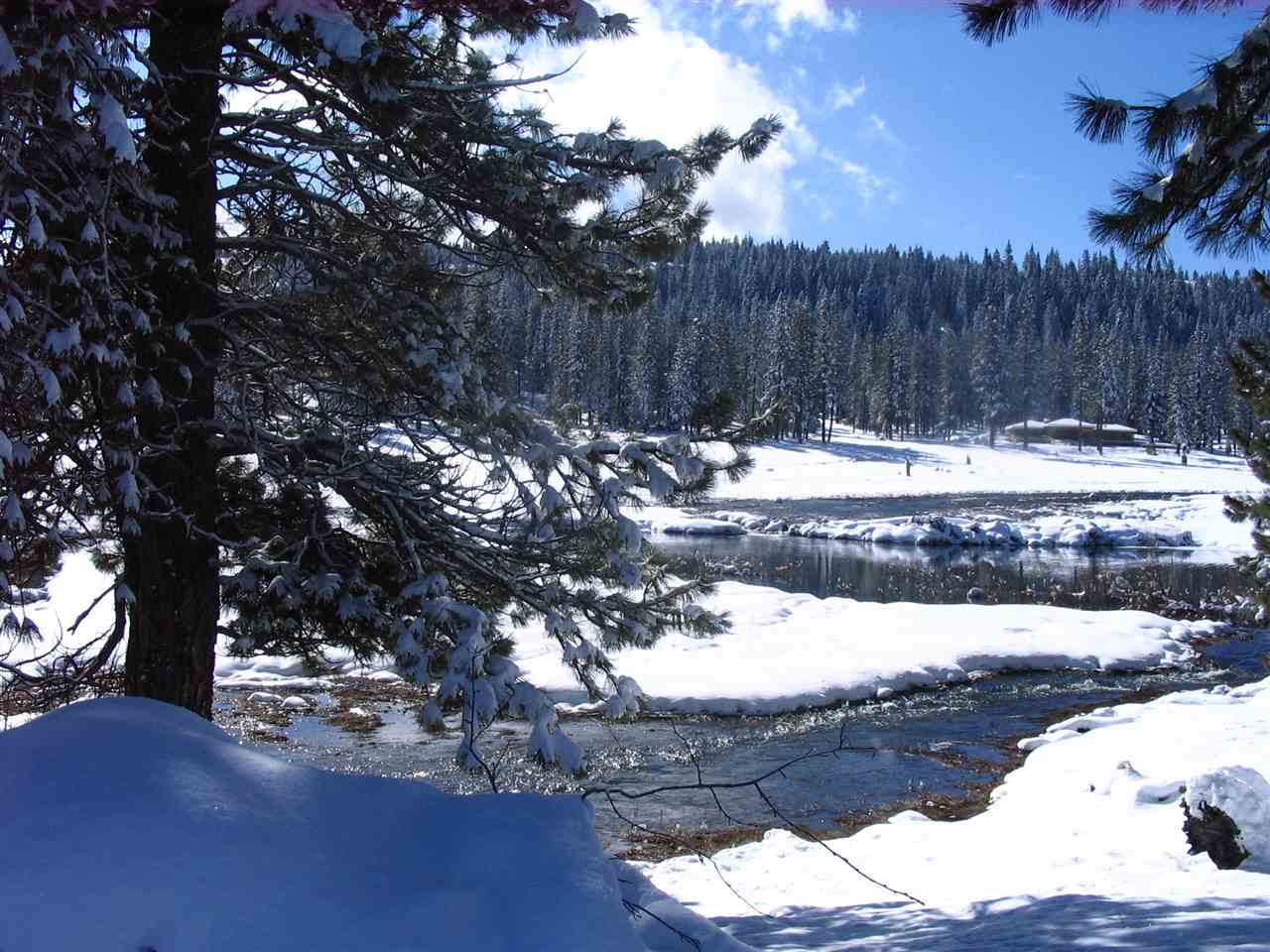 1711 Smith Lake Road Graeagle, CA 96103 - Photo 14 of 14