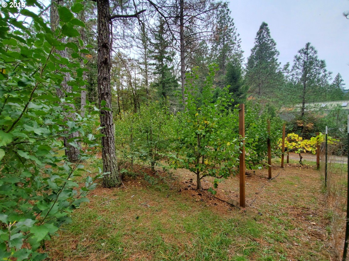 4580 Old House Creek Road Agness, OR 97406 - Photo 25 of 31