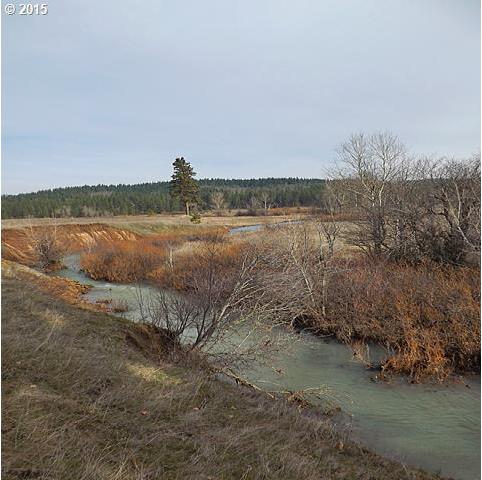 West Homestead Road Goldendale, WA 98620 - Photo 6 of 16 Gallery Image 6