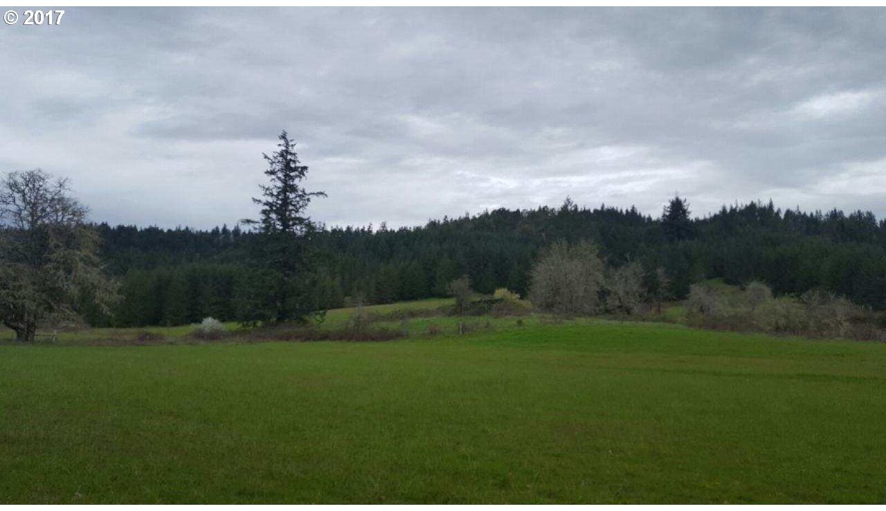 2484 Westside Road Camas Valley, OR 97416 - Photo 2 of 5