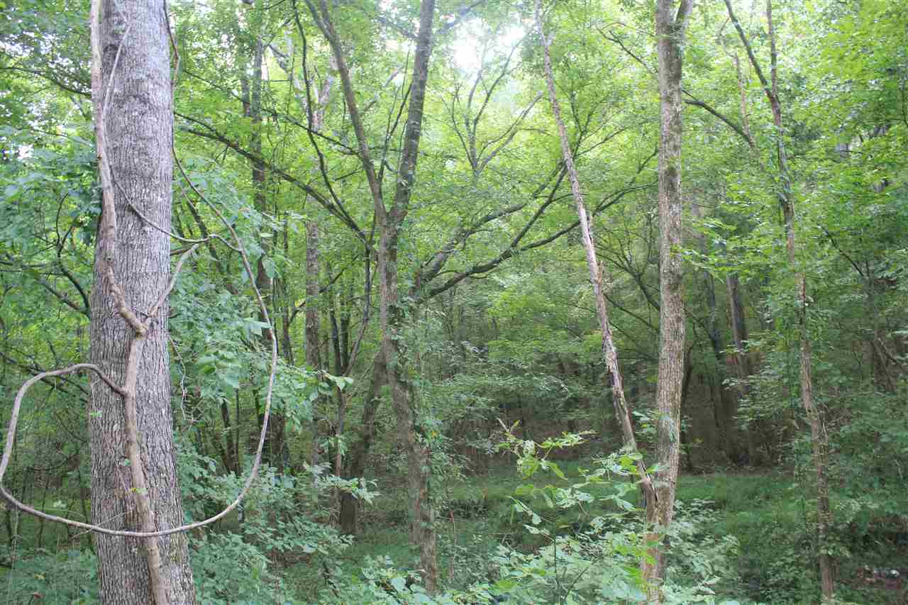 0 Robert Ford Road Waterford, MS 38685 - Photo 22 of 25