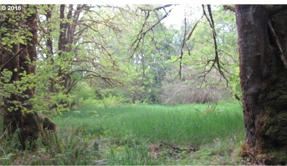 Walker Road Toledo, WA 98591 - Photo 15 of 27
