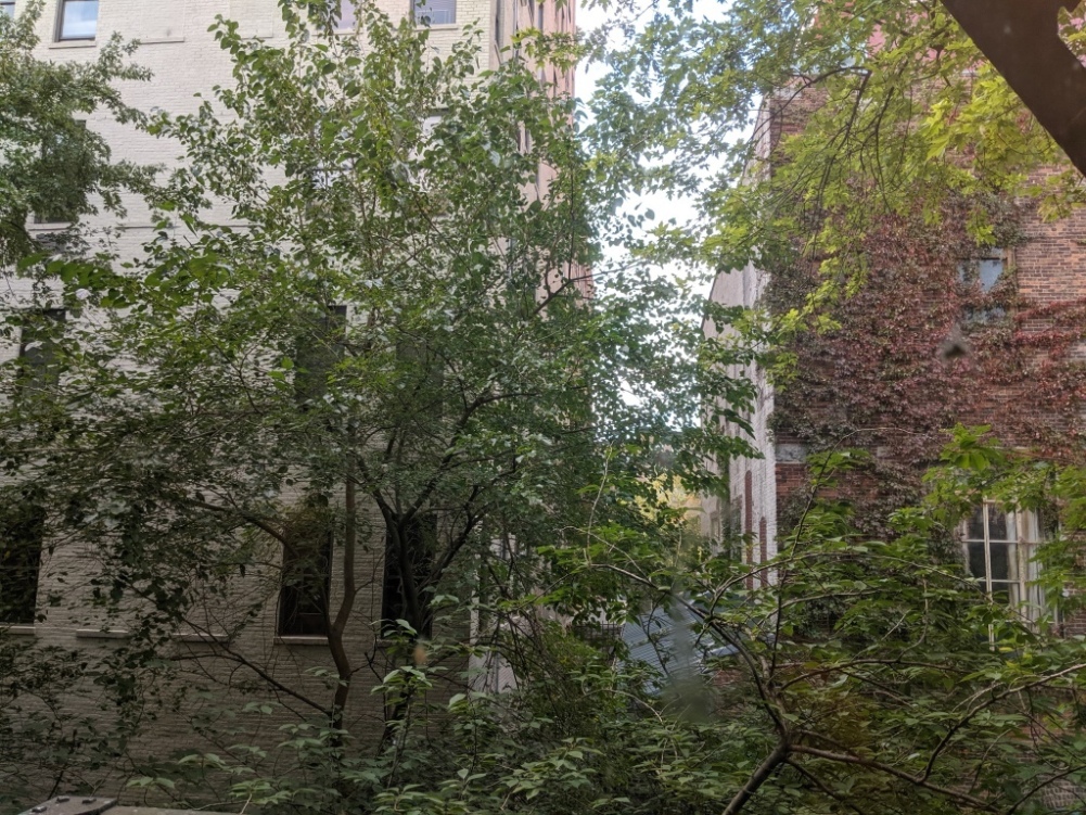712 Washington Street, Unit 2A Manhattan, NY 10014 - Photo 7 of 10