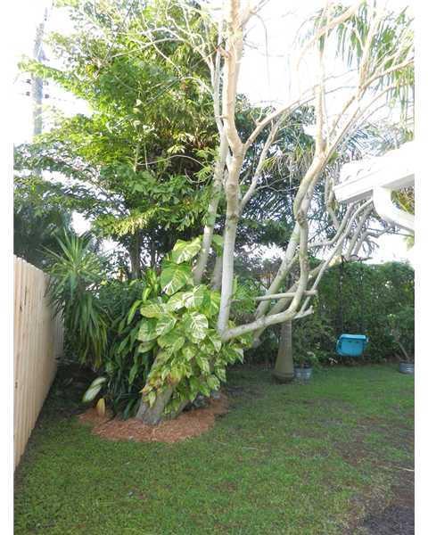 995 Southwest 13th Drive Boca Raton, FL 33486 - Photo 34 of 35