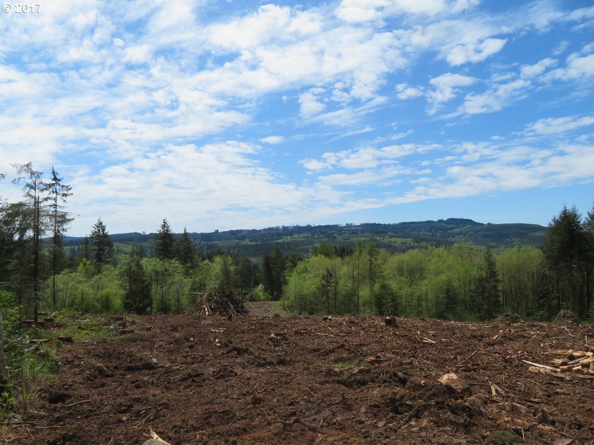 South Military Road Winlock, WA 98596 - Photo 9 of 26