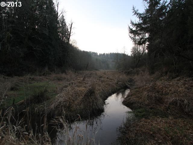0 Southwest Conzelmann Road Sherwood, OR 97140 - Photo 9 of 15 Gallery Image 9