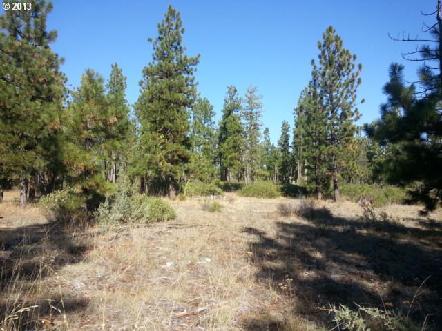 Pine Creek Road, Unit 5 Roosevelt, WA 99356 - Photo 7 of 16 Gallery Image 7