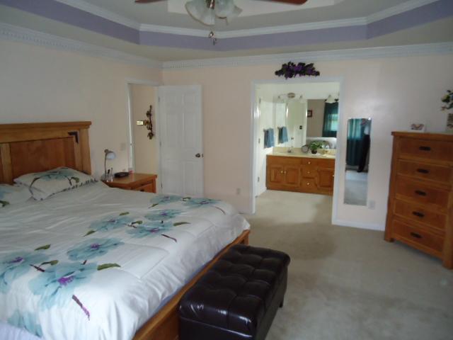 444 Tyler Ct Road Cottontown, TN 37048 - Photo 14 of 25 ANOTHER VIEW OF MASTER