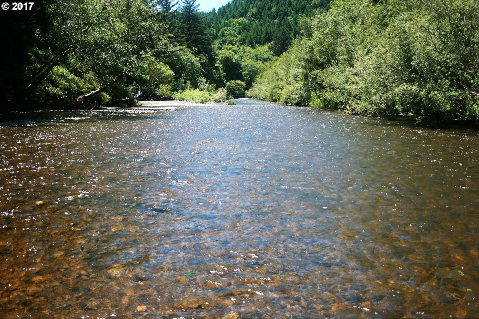 27766 Hunter Creek Road Gold Beach, OR 97444 - Photo 10 of 32 Gallery Image 10