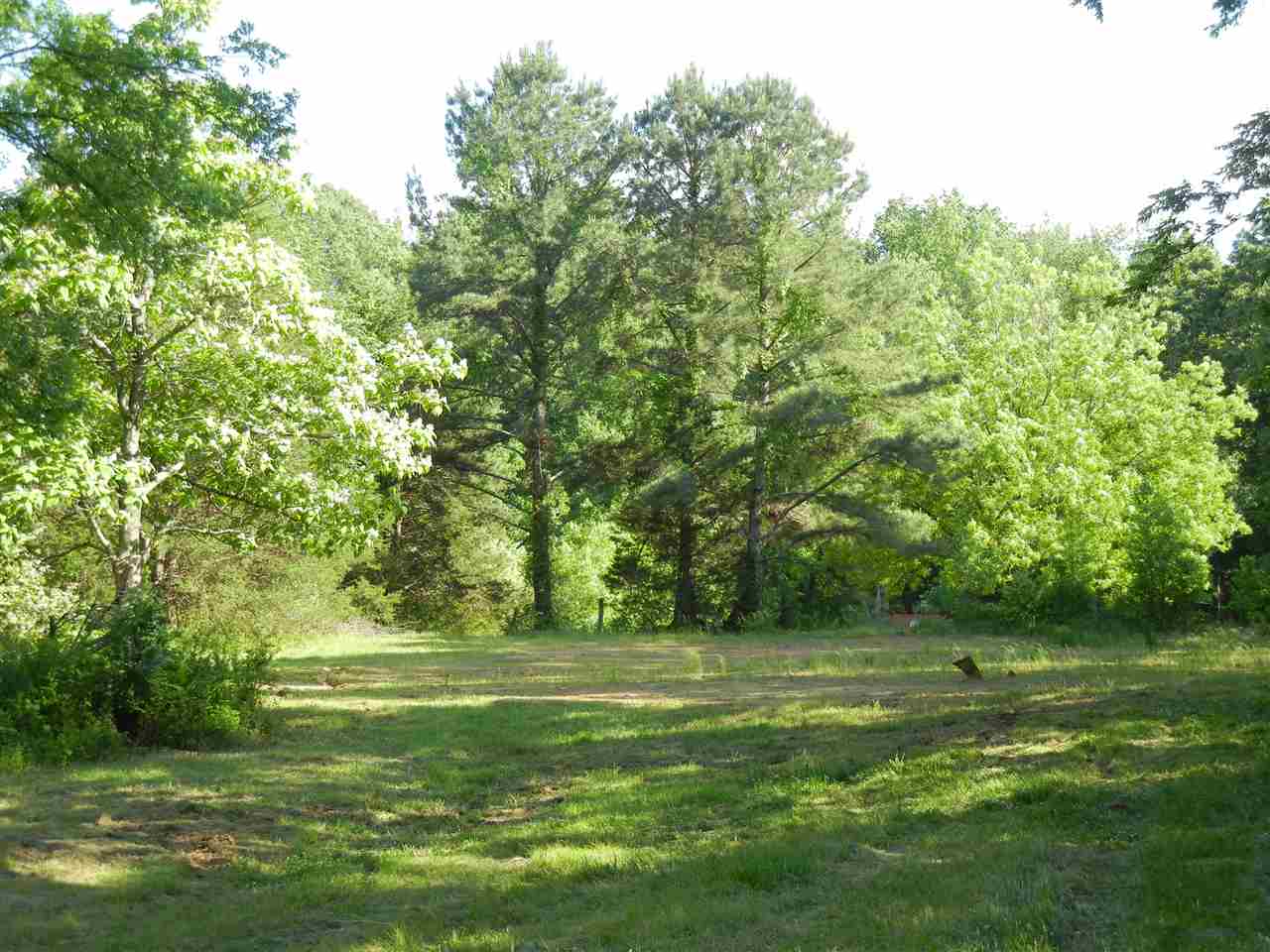 528 North Maple Street Adamsville, TN 38310 - Photo 20 of 25 Gallery Image 20