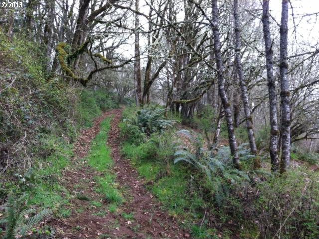 3505 Edison Road Northeast Silverton, OR 97381 - Photo 5 of 9