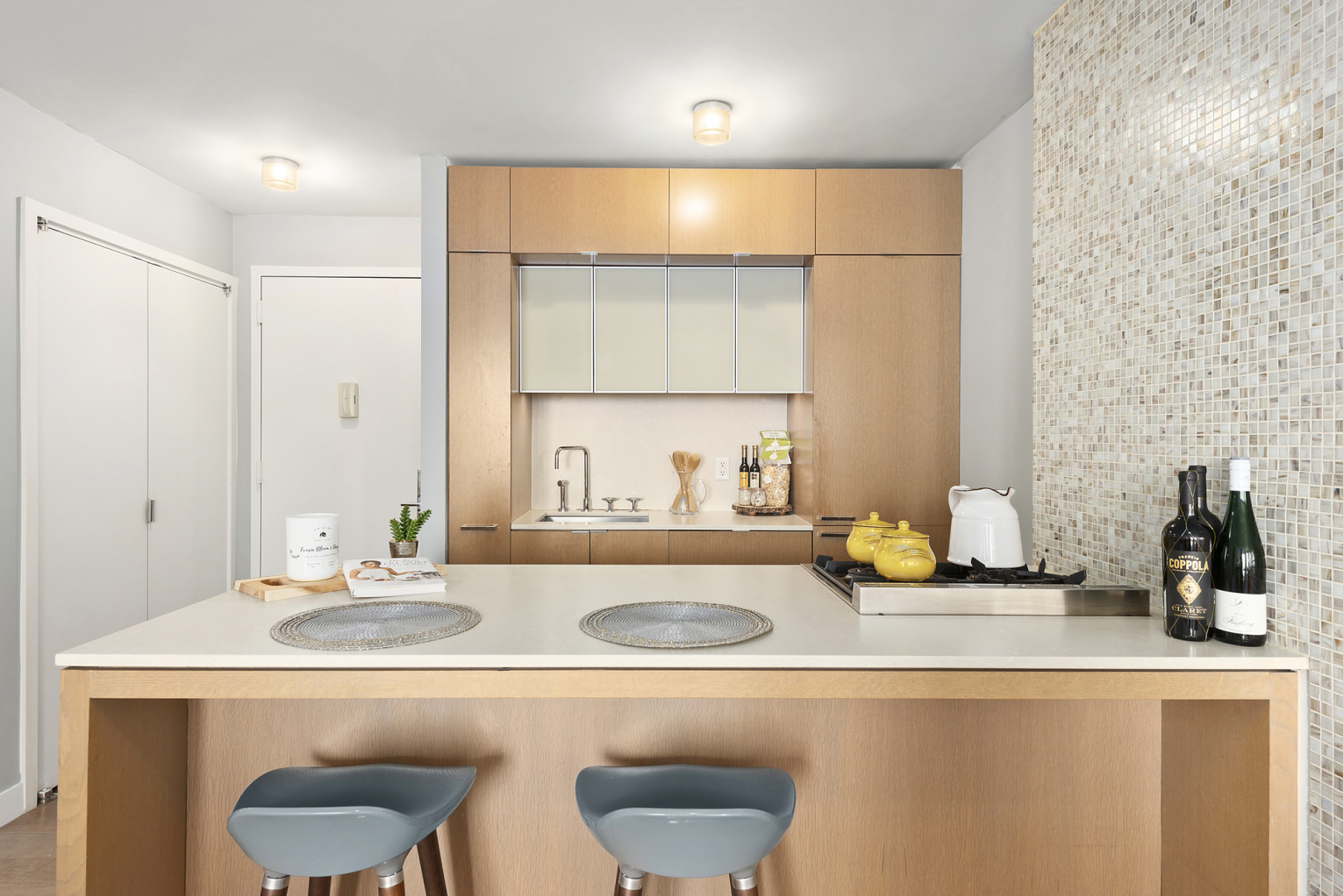 225 Rector Place, Unit 16E Manhattan, NY 10280 - Photo 5 of 13