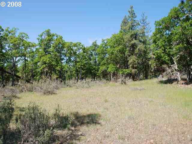 Old Stage Road Goldendale, WA 98620 - Photo 12 of 16 Gallery Image 12