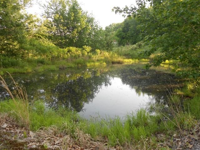 142 Abrams Road Lutts, TN 38471 - Photo 19 of 19 Gallery Image 19