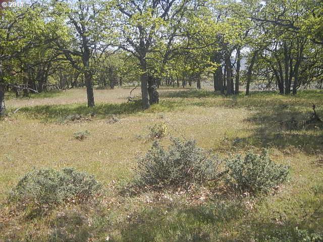 82 Old Mountain Road Goldendale, WA 98620 - Photo 6 of 10 Gallery Image 6