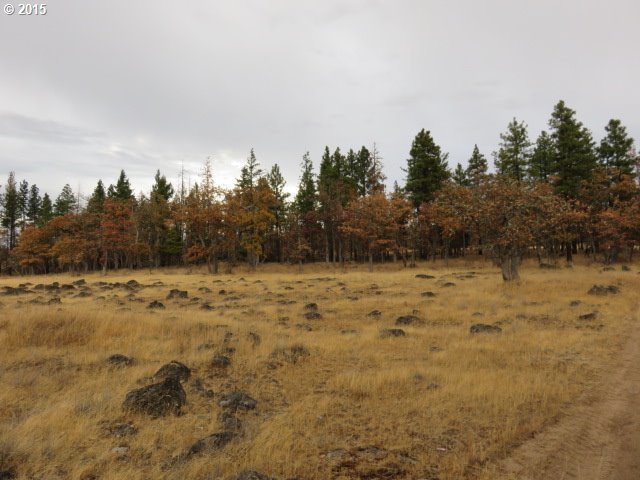 England Drive Goldendale, WA 98620 - Photo 3 of 13