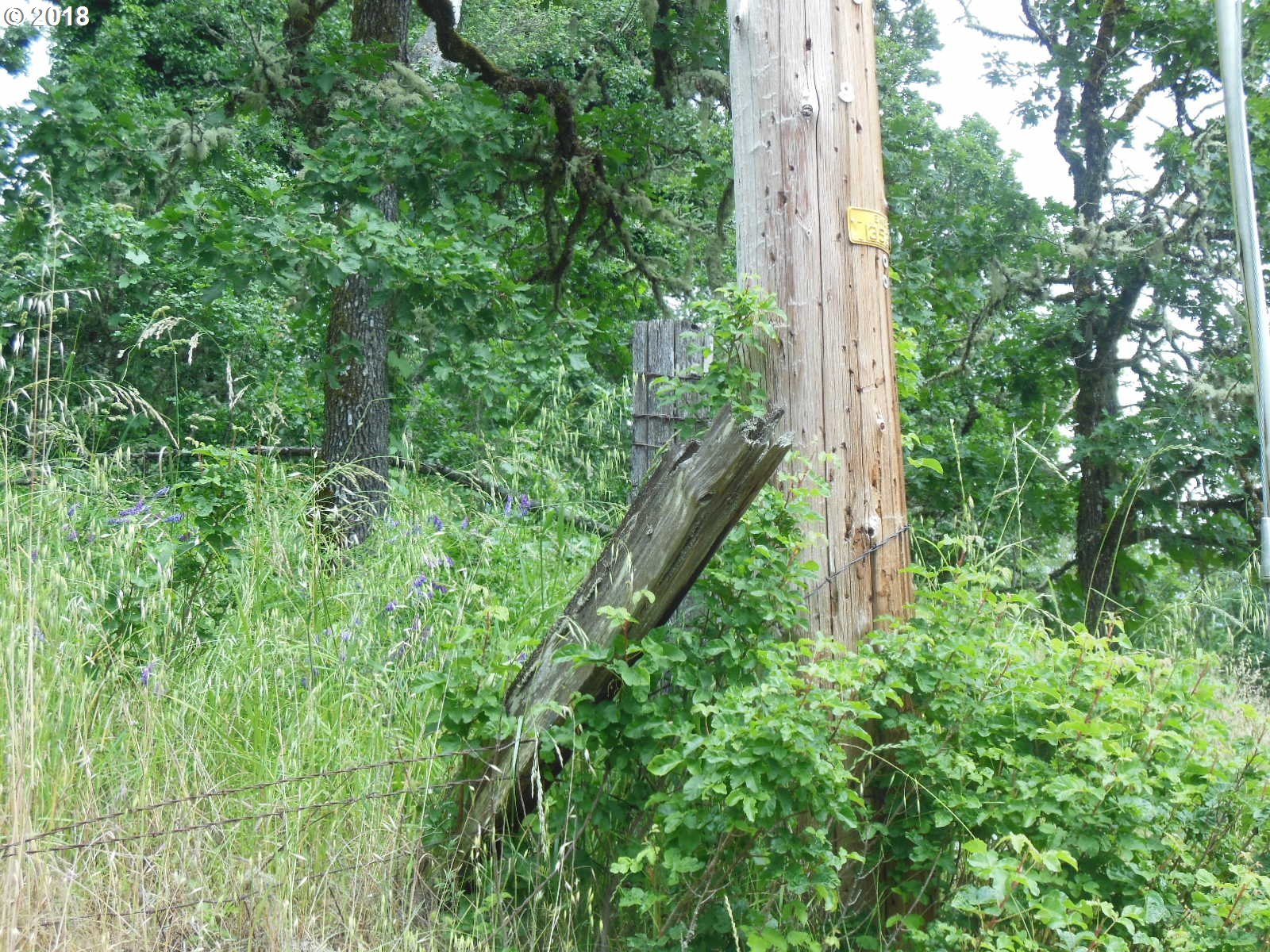 Hillside Drive Springfield, OR 97478 - Photo 11 of 15