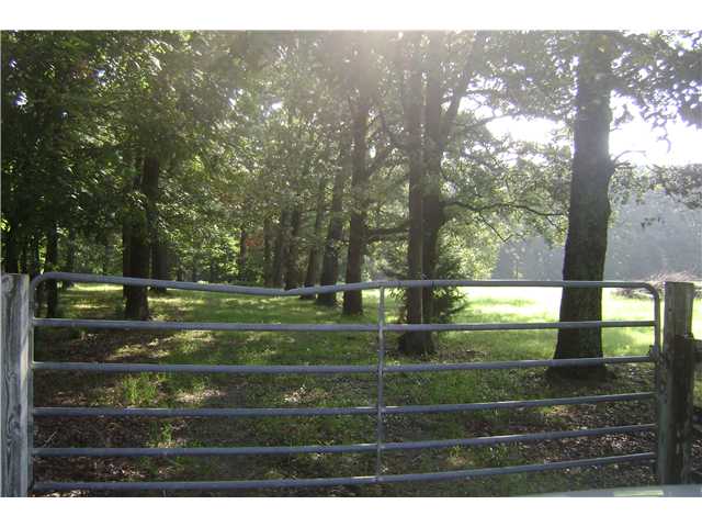 9266 Davies Plantation Road Bartlett, TN 38133 - Photo 6 of 10