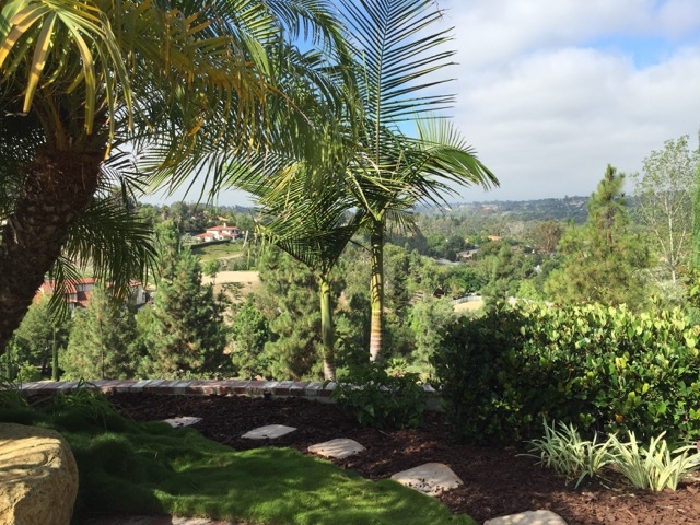 3227 Violet Ridge Encinitas, CA 92024 - Photo 17 of 20