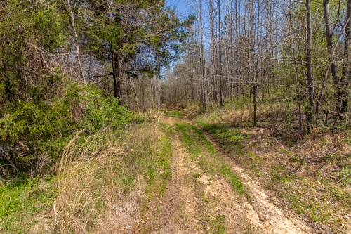 0 Hughey Talley Road Selmer, TN 38375 - Photo 15 of 16 Gallery Image 15