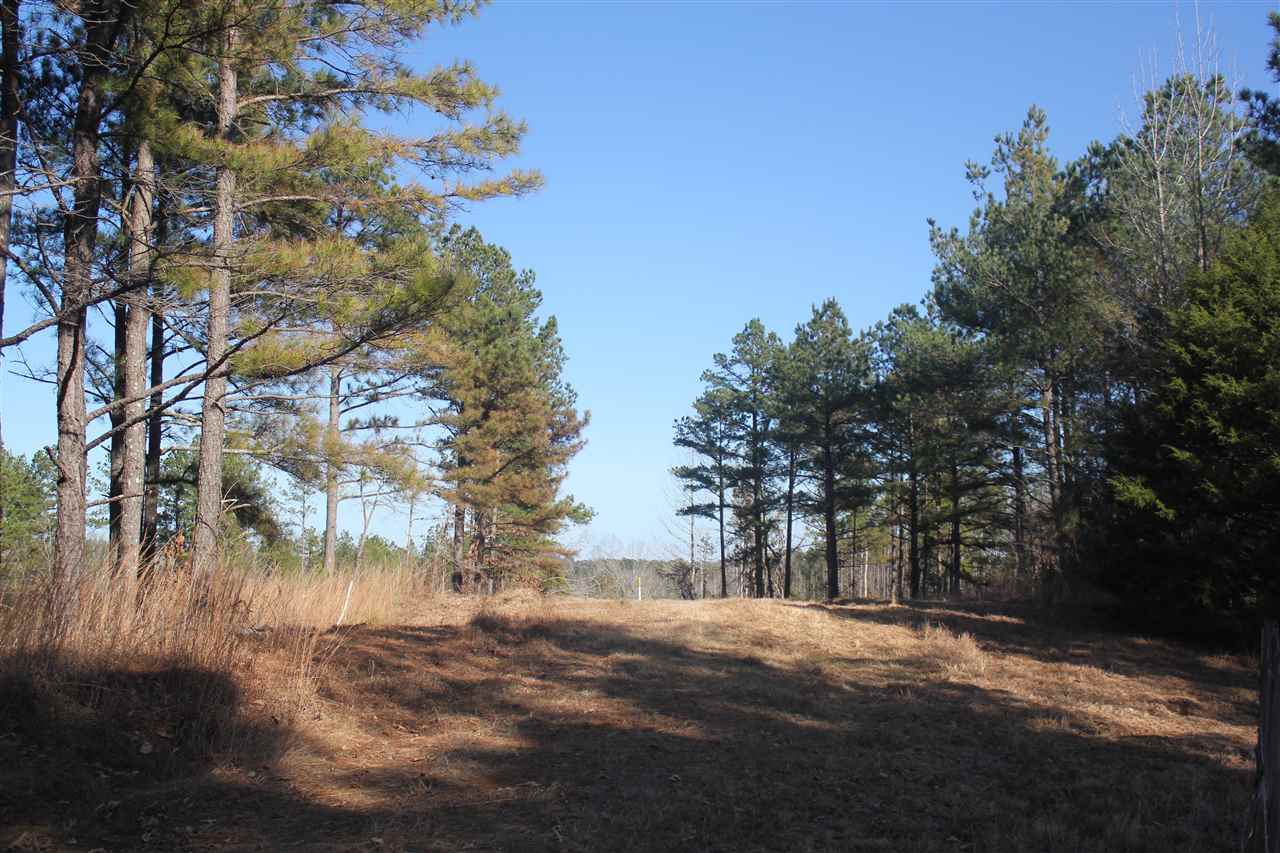 400 White Road Holly Springs, MS 38635 - Photo 8 of 24 Gallery Image 8