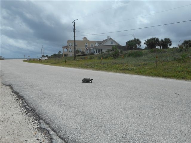 9105 Old A1a South St. Augustine, FL 32080 - Photo 11 of 18