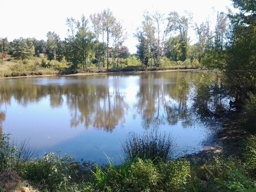 908 Meeks Road Adamsville, TN 38310 - Photo 1 of 21 Gallery Image 1