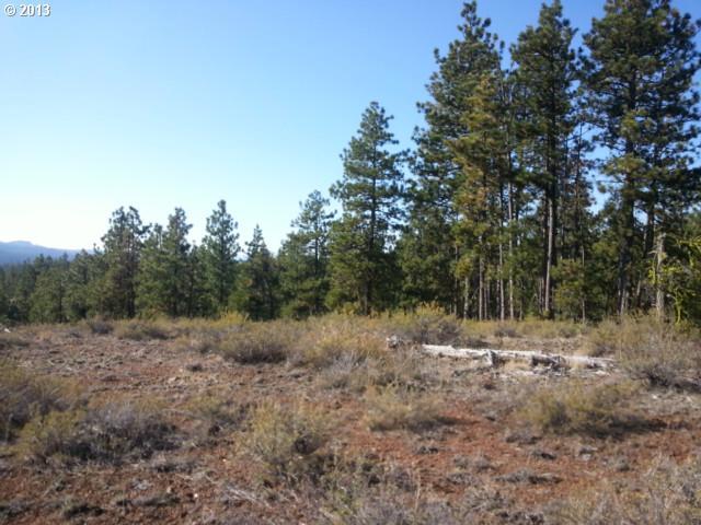 Pine Creek Road, Unit 5 Roosevelt, WA 99356 - Photo 9 of 16 Gallery Image 9