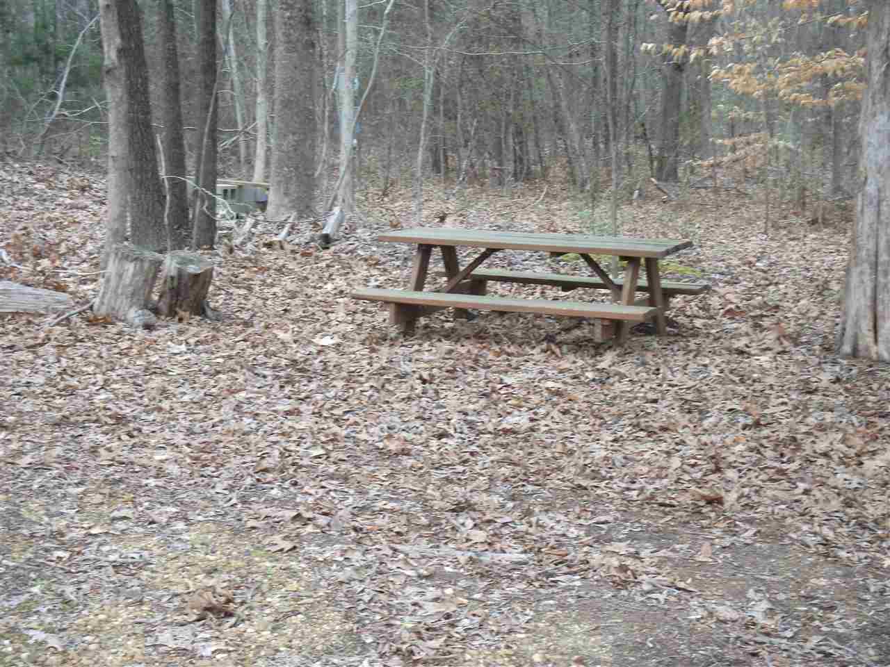 610 Young Road Medon, TN 38356 - Photo 3 of 7