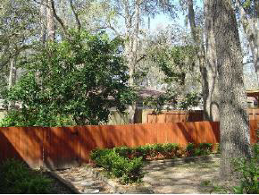 212 Mimosa Road St. Augustine, FL 32086 - Photo 3 of 6
