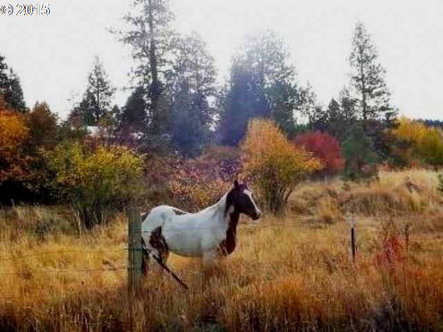 69733 Knight Lane Elgin, OR 97827 - Photo 21 of 30 Gallery Image 21