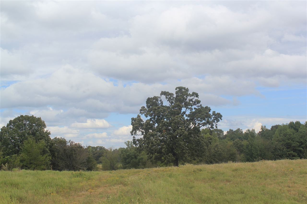 3200 North Red Banks Road Red Banks, MS 38635 - Photo 9 of 25 Gallery Image 9