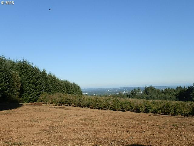0 Southwest Old Kruger Road, Unit LOT 2 Sherwood, OR 97140 - Photo 6 of 16 Gallery Image 6