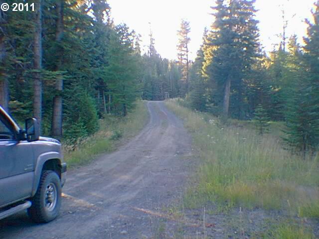 Tucker Down Road Joseph, OR 97846 - Photo 3 of 4