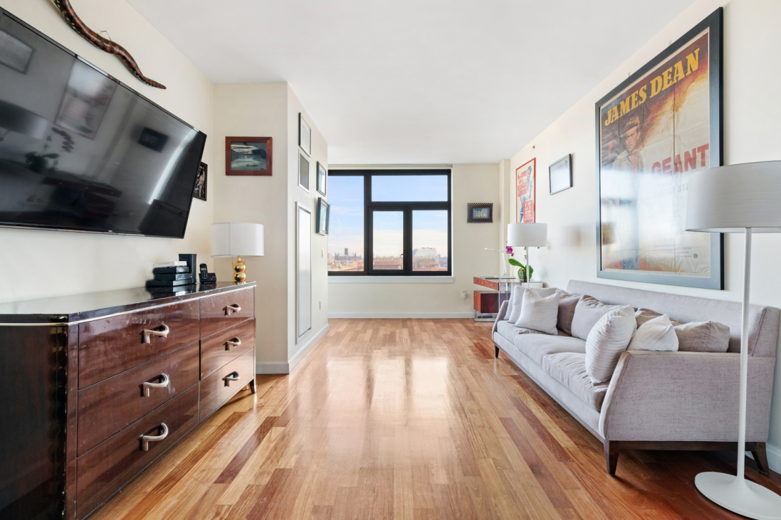 100 Jay Street, Unit 14E Brooklyn, NY 11201 - Photo 3 of 13