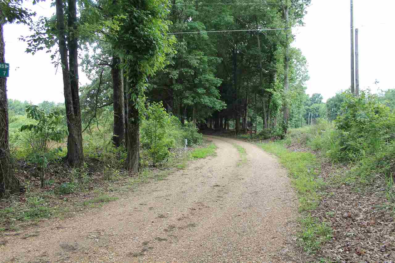 1047 Asbury Road Ripley, TN 38063 - Photo 12 of 12 winding driveway to country home