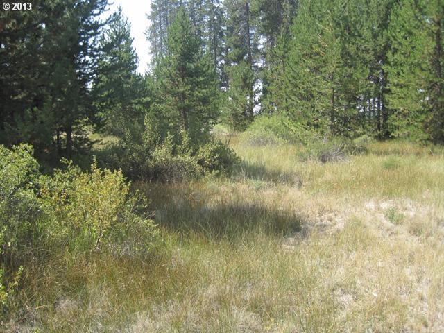 17700 Old Wood Road Bend, OR 97707 - Photo 1 of 11 Gallery Image 1