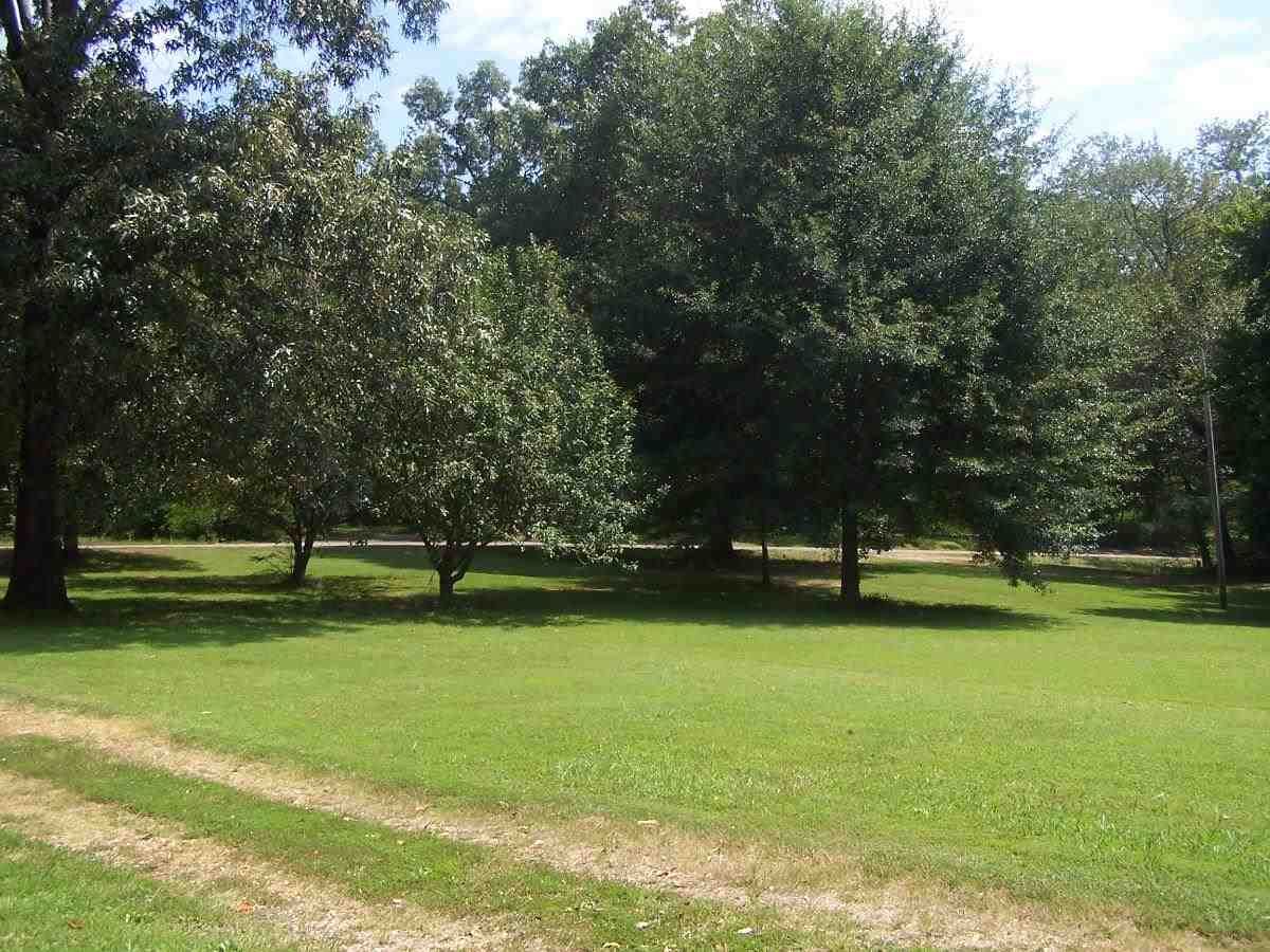 70 Lewter Road Crump, TN 38327 - Photo 17 of 20 Gallery Image 17