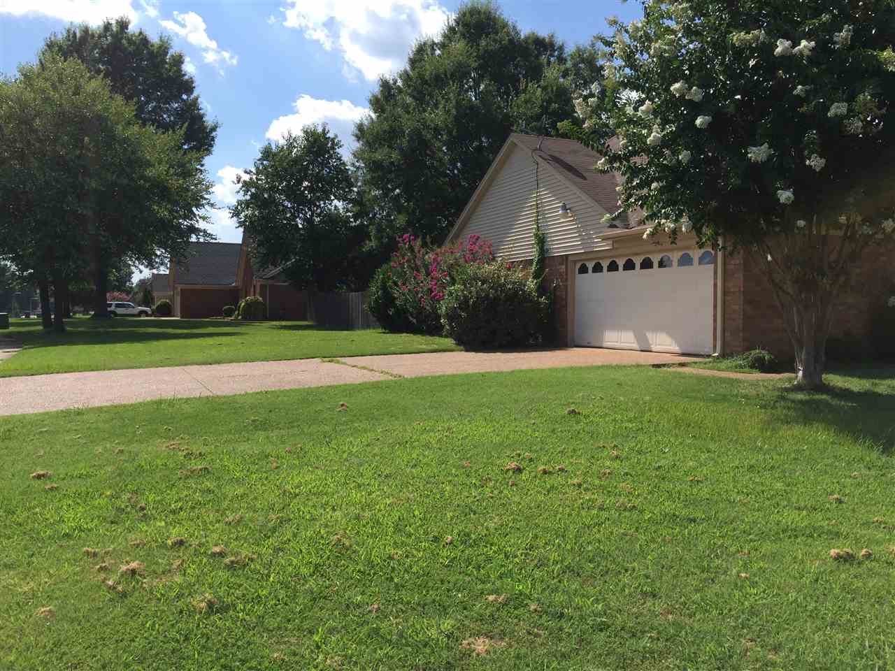 557 South Collierville Arlington Road Collierville, TN 38017 - Photo 17 of 17